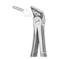 Extracting Forceps English Pattern Fig. 31 lower Roots
