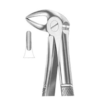 Extracting Forceps English Pattern Fig. 33B Lower Roots