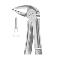 Extracting Forceps English Pattern Fig. 33L Lower Roots
