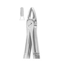 Extracting Forceps English Pattern Fig. 37 Upper Incisors