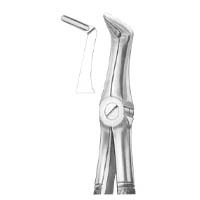 Extracting Forceps English Pattern Fig. 49 Upper Roots