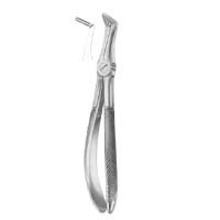Extracting Forceps English Pattern Fig. 50 Upper Roots