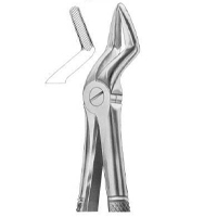 Extracting Forceps English Pattern Fig. 52A Upper Teeth and Resection