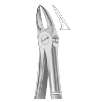 Extracting Forceps English Pattern Fig. 55 For Separating Upper Molars