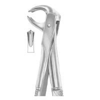 Extracting Forceps English Pattern Fig. 73 Lower Molars