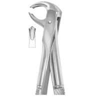 Extracting Forceps English Pattern Fig. 73B Lower Molars For Children
