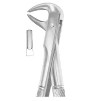Extracting Forceps English Pattern Fig. 75 Lower Premolars