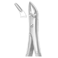 Extracting Forceps English Pattern Fig. 76 Upper Roots