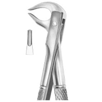 Extracting Forceps English Pattern Fig. 81 Lower Premolars And Roots