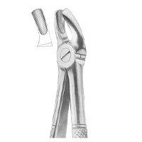 Extracting Forceps English Pattern Fig. Mead (Md 2) Upper Molars
