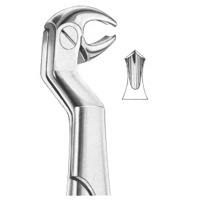 Extracting Forceps English Pattern Routurier (Fig.213) (22 1/2R) Lower Molars