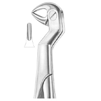 Extracting Forceps English Pattern Routurier (Fig.214) (22 1/2L) Lower Molars And Wisdom Left