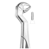 Extracting Forceps English Pattern Routurier (Fig.215) (33 1/2R) Lower Molars And Wisdom Right