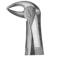 Extracting Forceps English Pattern Fig. 35