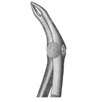 Extracting Forceps English Pattern Fig. 43