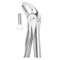 Extracting Forceps English Pattern Fig. 4 Lower Incisors And Canines