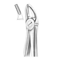 Extracting Forceps English Pattern Fig. 7 Upper Premolars