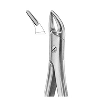 Extracting Forceps With Fittig Handle Fig. 76N Upper Roots