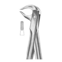 Extracting Forceps With Fittig Handle Fig. 81 Lower Premolars And Roots
