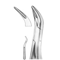 Extracting Root Splinter Forcep Arther Fig. 227 Upper Roots