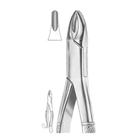 Extracting Forceps For American Pattern Fig. 13 Upper Incisors