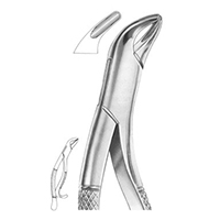 Extracting Forceps For American Pattern Fig. 14 Lower Incisors
