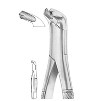Extracting Forceps For American Pattern Fig. 17 Lower Molars