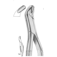 Extracting Forceps For American Pattern Fig. 24 Upper Molars