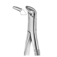 Extracting Forceps For American Pattern Fig. 34 Lower Anteriors And Roots