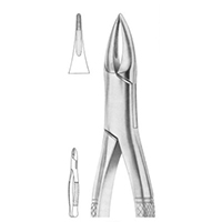 Extracting Forceps For American Pattern Fig. 38 Upper Anteriors And Roots