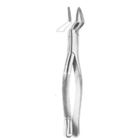 Extracting Forceps For American Pattern Fig. 65 Upper Incisors And Roots