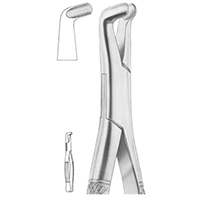 Extracting Forceps For American Pattern Fig. 222 Lower Third Molars