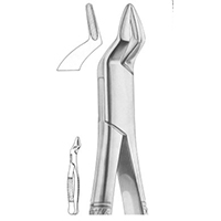 Extracting Forceps For American Pattern Fig. 286 Upper Incisors And Roots