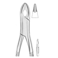 Extracting Forceps For American Pattern Nevius Fig. 320/10S Upper Canines