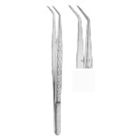 Dental Tweezers College 15 cm