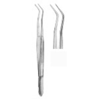 Dental Tweezers College 15 cm