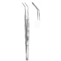 Dental Tweezers Landgraf 15 cm,6''